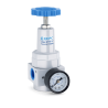 Regulador Presion (Alta Presion Max 580 Psi)